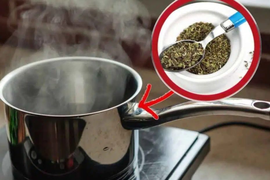 ferva oregano
