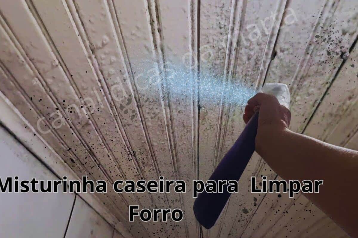 Como tirar mofo da parede: técnica econômica e sem esforço para você fazer na sua casa